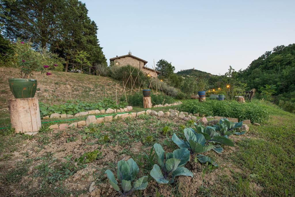 Antica Fonte Guest House Assisi Exterior photo